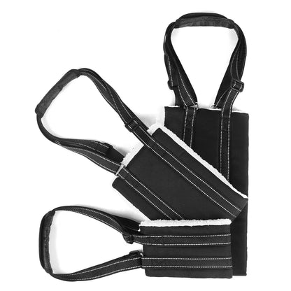 SupportLift harness padded handle held in owner's hand